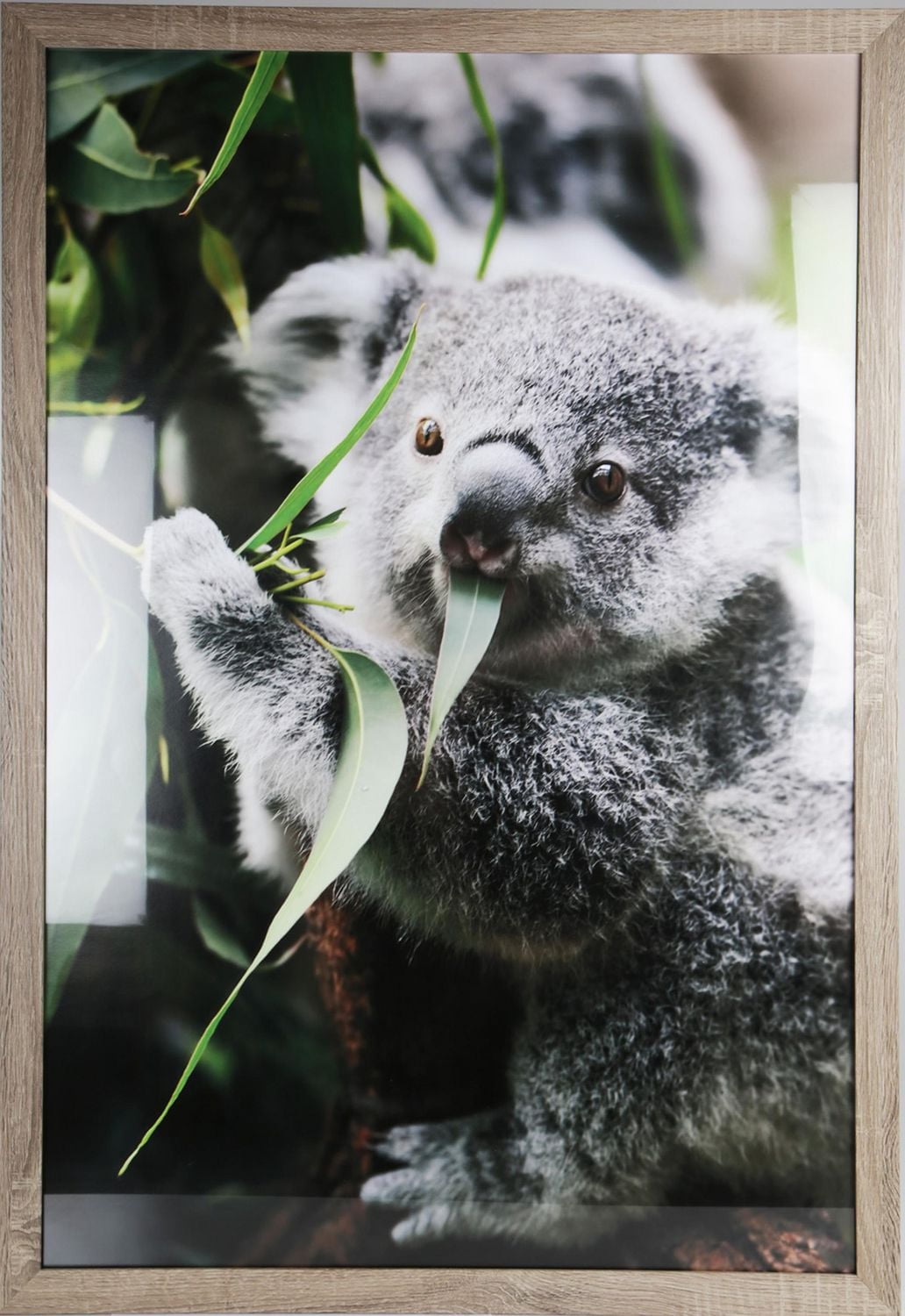 Hometrends Classified Perfection Poster Frame