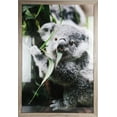 thumbnail image 1 of Hometrends Classified Perfection Poster Frame, 1 of 4