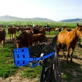 thumbnail image 2 of Museau de Pâturage de Cheval, Base en Caoutchouc Anti Morsure Anti-Usure pour Ranch, 2 of 6