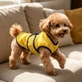 thumbnail image 7 of Dog Cooling Vest Lightweight Jacket for Dogs Easy On Off Cooling Coat for Walks Travel Outdoors UV Protection Shirt for Beach Sizing for Small Medium and Large Dogs, 7 of 7