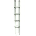 thumbnail image 2 of Plant Support Garden Conical Glass Fiber Sturdy And Strong Economical Durable Attached Plastic Cherry Tomatoes Piles, 2 of 20