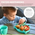 thumbnail image 5 of melii Divided Silicone Suction Plate (Pack of 32), 5 of 7