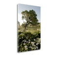 thumbnail image 2 of Tangletown Fine Art Oak Tree - 90 By Alan Blaustein,  Gallery Wrap Canvas, 2 of 2