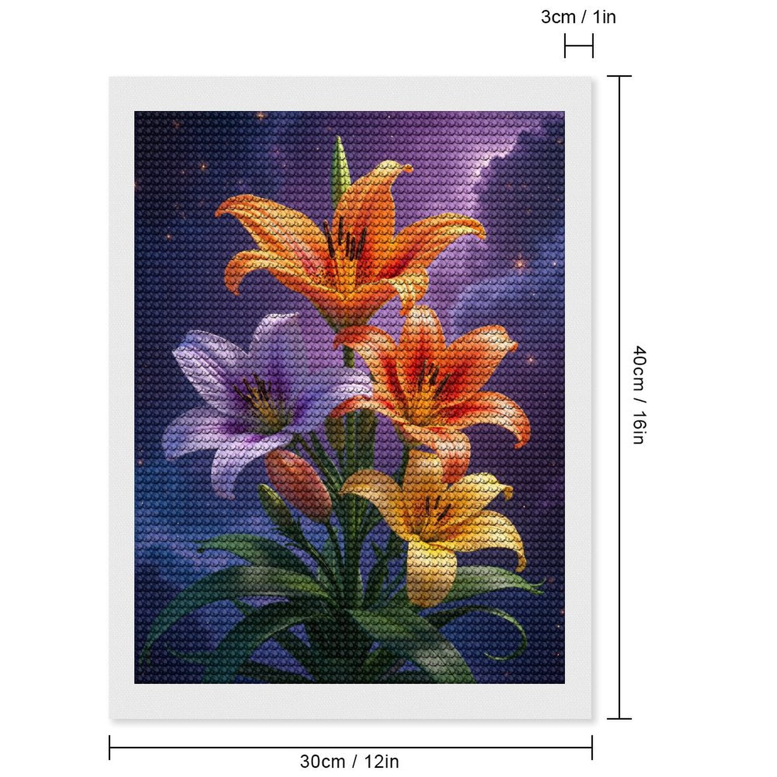 Diamond Art Kits for Adults, Lilies Cosmic Night Sky Blossoms 5D Diamond Painting Kits for Adults Beginners, DIY Full Drill Diamond Painting, Gem Art and Crafts 12x16