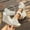 White Wedge Shoes for Women, variant on CYMMPU Women's Peep Toe Wedge Sandals, Adjustable Buckle Ankle Strap Espadrille Platform Shoes, Casual Summer Outdoor Walking Footwear White 36