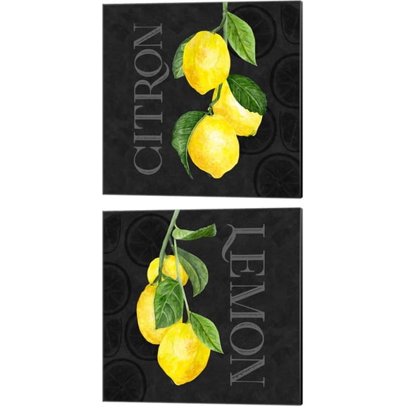Great Art Now Live with Zest B by Tara Reed 2 Piece Canvas Art Set Each 14"W x 14"H