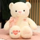 thumbnail image 1 of Oso de peluche Kawaii de 80cm para niños, almohada de oso de peluche suave con lazo grande, juguetes de acompañamiento, regalo de cumpleaños para el Día de San Valentín zhangyuxiang LED, 1 of 2