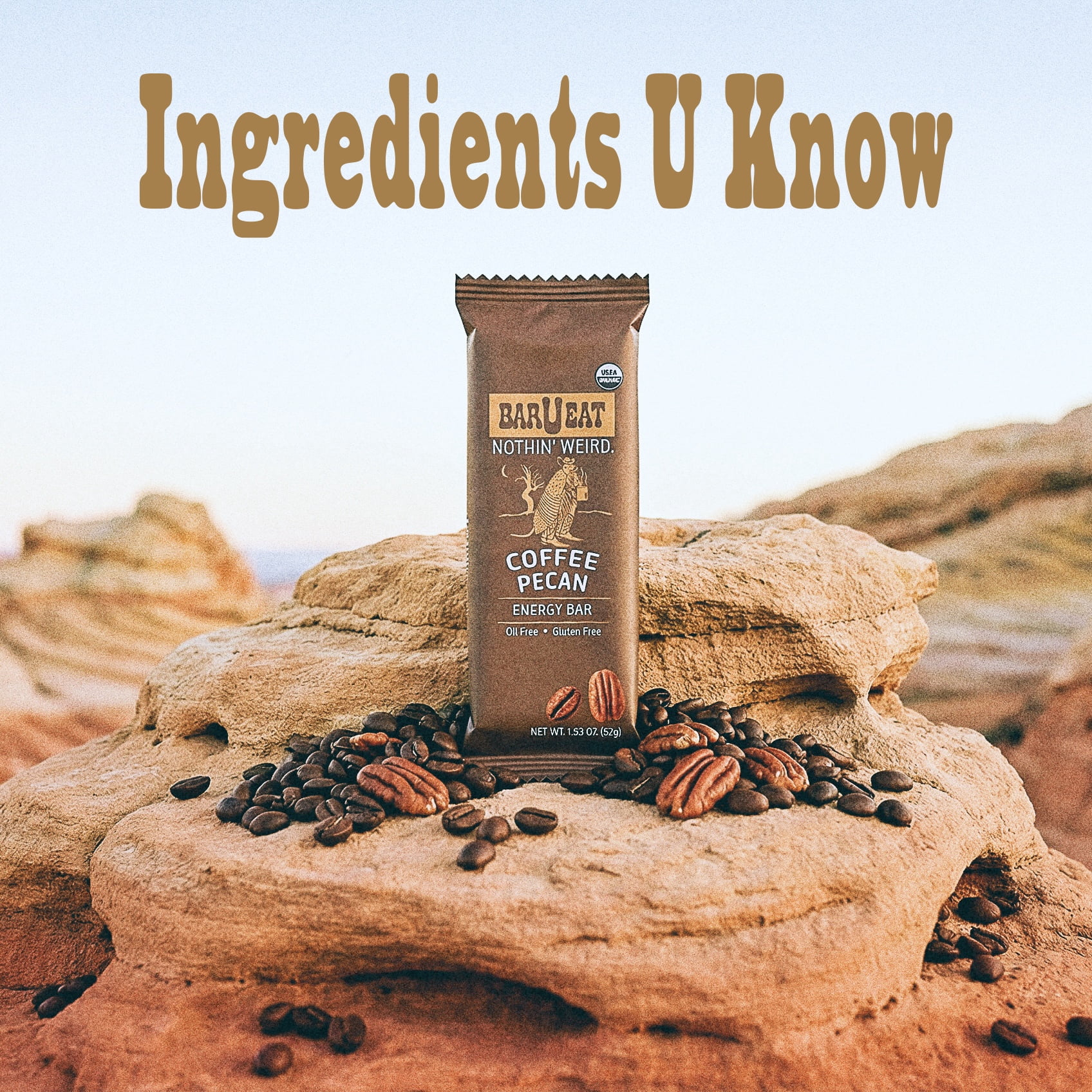 BAR-U-EAT Gluten-Free, Organic, Soft & Chewy Energy Bar. Whole Food Ingredients | Compostable Packaging | No Artificial Sugar | Healthy Snacks (Coffee Pecan 12 Pack)