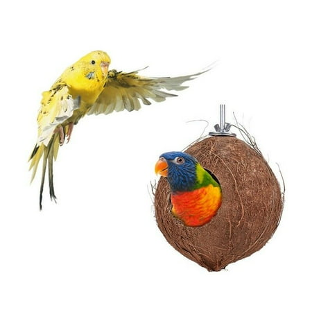 Coconut Nest - TURNTABLE LAB Natural Coconut Shell Bird's Nest House Hut Cage Breeder Pet parrot Bird Toy