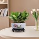 thumbnail image 4 of Cuenco de flores hidropónico de cerámica, maceta de estilo chino con soporte, cuenco de agua interior al aire libre para plantas bonsái, maceta de jardín decorativa para el hogar de la oficina, 4 of 6