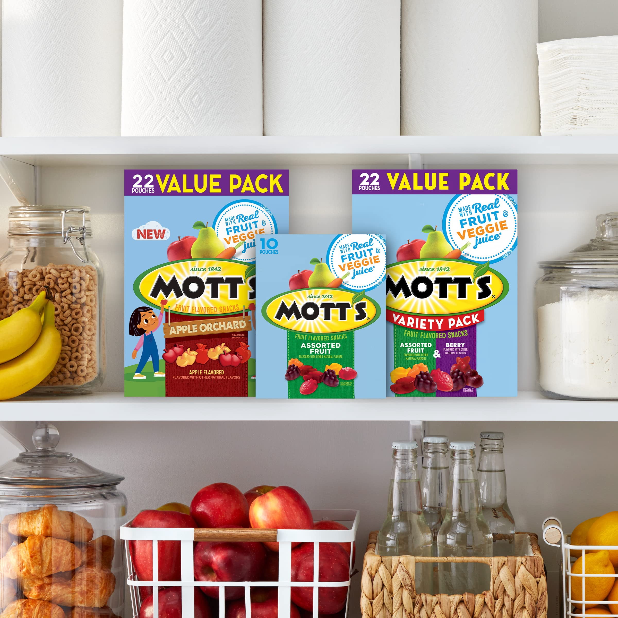 Fruit Flavored Snacks  Assorted Fruit  Pouches (Pack of 48)