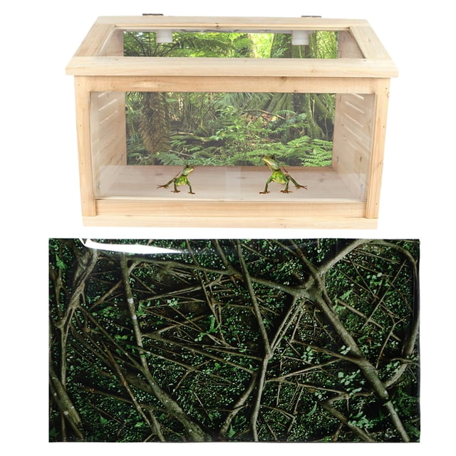 Reptile Poster 3D PVC Adhesive Jungle Pattern Aquarium Background Poster Fish Terrarium Backdrop Wall Sticker