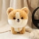 thumbnail image 1 of Regalo de cumpleaños, lindo muñeco de cachorro, muñeco de peluche, muñeco husky, muñeco corgi, muñeco de peluche de simulación, juguete para niños, regalo, 1 of 5