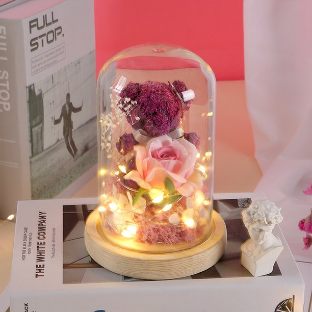 Rosa eterna preservada con LED Forever Flowers Regalos Rosas preservadas Regalos de oso