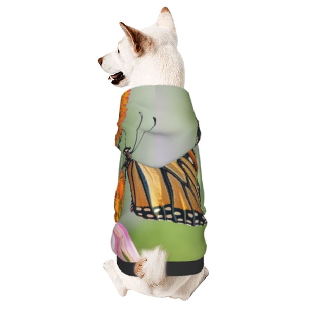 Fotbe A monarch butterfly Sudadera con Estampado para Perros Pequeños – Suéter con Capucha para Mascotas, Tela Suave de Forro Polar con Bolsillo-Small