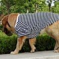 thumbnail image 4 of Oversized Striped Dog T-Shirt, Breathable Cotton Vest for Medium to Large Dogs, Black and White, Size XL, Comfortable Pet Apparel, 4 of 7