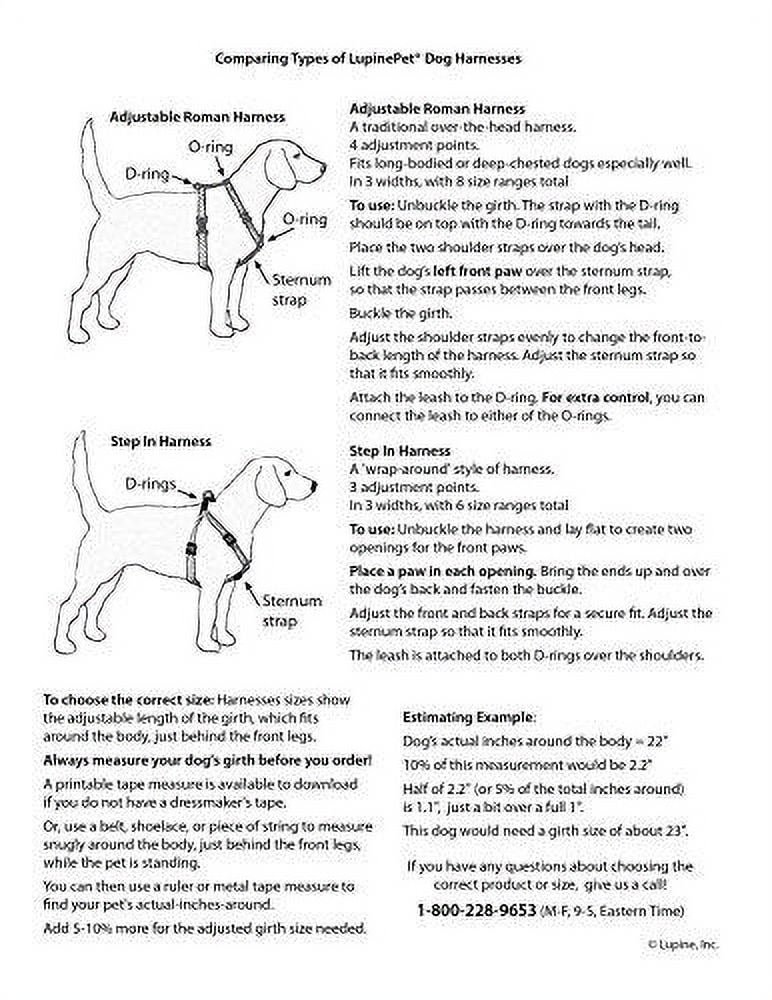 LupinePet Originals 3/4" Crazy Daisy 15-21" Step In Harness for Small Dogs