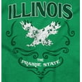 thumbnail image 2 of Illinois Cute Floral Bald Eagle Women's Plus Size Graphic Tee Brisco Brands 2X, 2 of 3