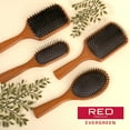 thumbnail image 6 of RED Premium 100% Evergreen Wooden Paddle Brush, Detangling Hair Brush, Long Bristles Beech-Wood Brush for Thick Curly Thin Long Short Wet Dry Hair, Long Lasting Shine (Square Boar Paddle), 6 of 6