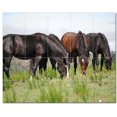thumbnail image 1 of Horse Photo Ceramic Tile Mural Kitchen Backsplash Bathroom Shower, 405267-XL54, 1 of 3