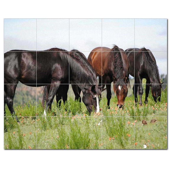 Horse Photo Ceramic Tile Mural Kitchen Backsplash Bathroom Shower, 405267-XL54