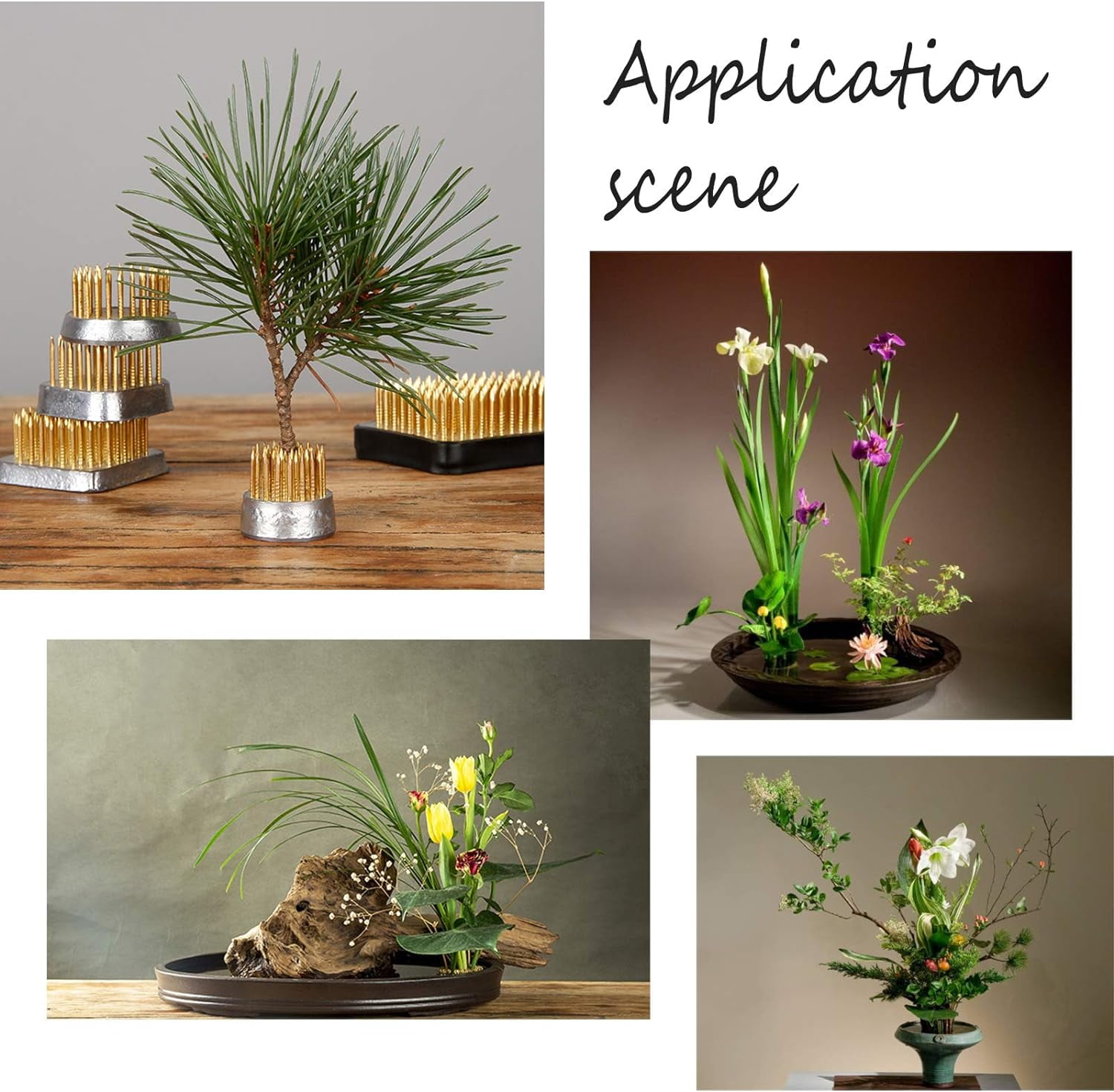 5 pcs 3 Sizes Mini Ikebana Flower Holder Square/Round Floral Arranging Pin Frog Spiky Frog Fixed Holder Tools for Plants Making DIY
