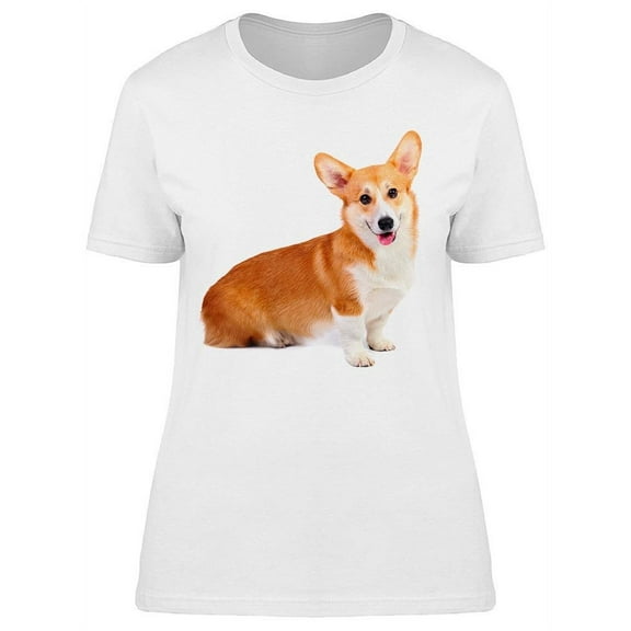Corgi Pembroke In Studio T-Shirt Women -Image by Shutterstock Women T-Shirt, Female 3X-Large