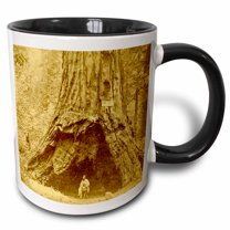 3drose, Giant Sequoia Calaveras Big Trees State Park California Pioneer Cabin, 11oz Two-tone Black Mug