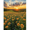 thumbnail image 1 of Qisvanset 12x16 Inch Sunrise Golden Meadow Canvas Wall Art, Tranquil Nature Print Rustic Modern Home Decor, 1 of 8