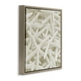 thumbnail image 3 of Stupell Industries Nautical White Starfish Photography Nature Photography Brown Floater Framed Canvas Art Print Wall Art, 18 x 18, 3 of 9