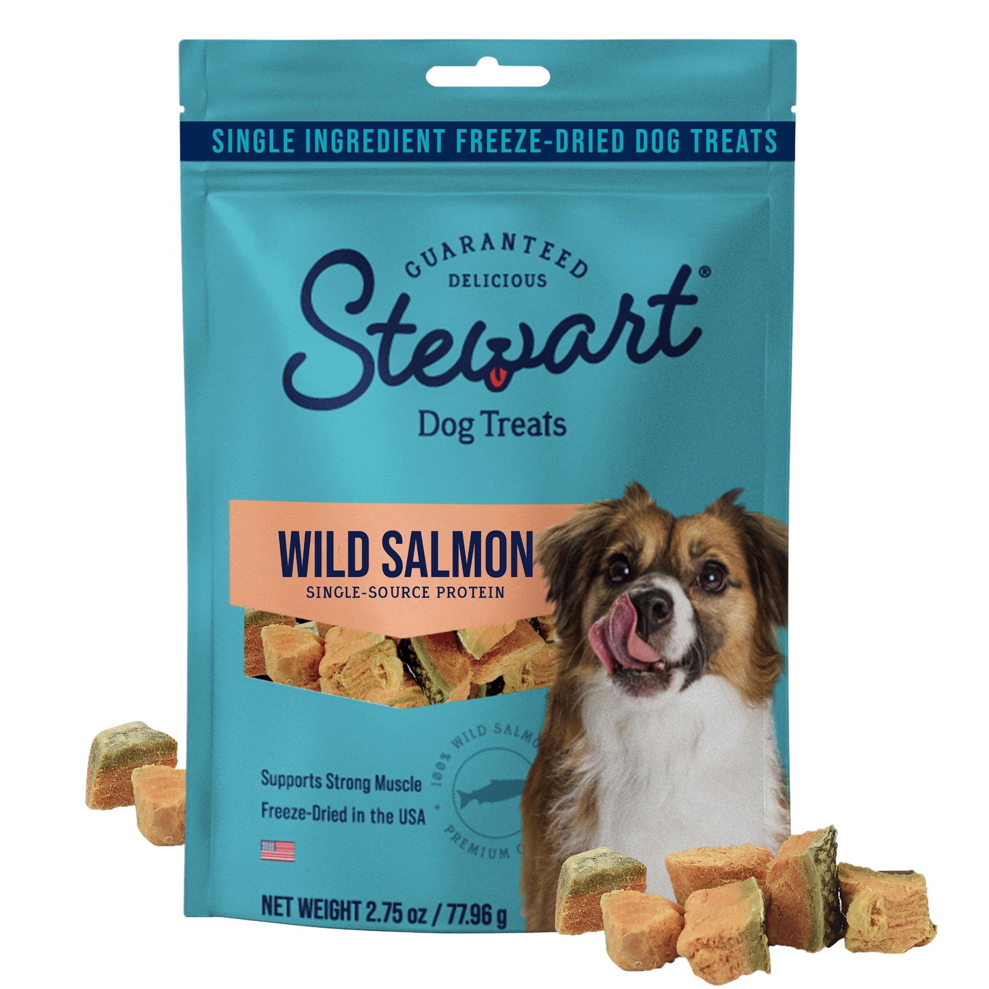 Stewart Freeze Dried Raw Wild Salmon Training Treats or Meal Topper for Dogs, 2.75 oz Pouch