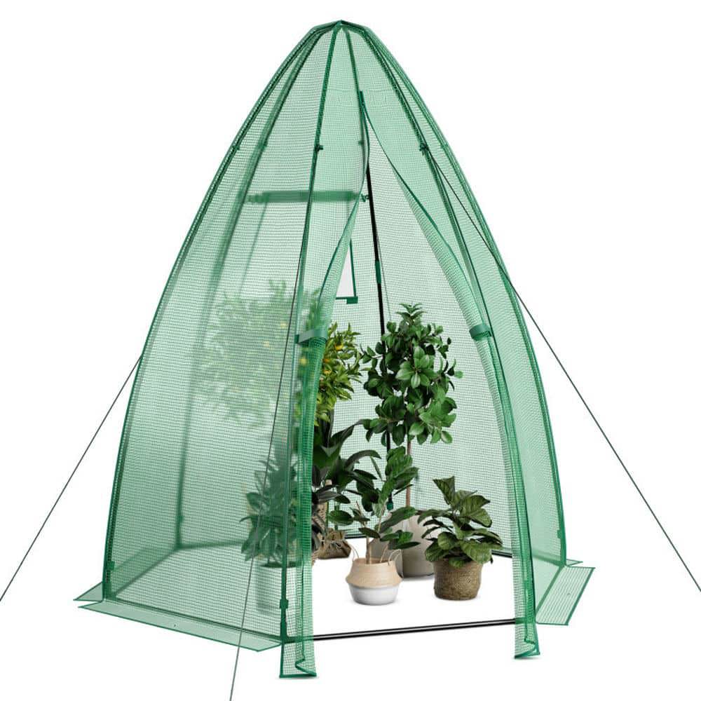 Spaco 5.5 x 5.5 x 6 Feet Portable Mini Greenhouse with All-Weather PE Cover, Mini Greenhouse with Zippered Door and Roll-up Window for Outdoor, Green