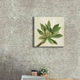 thumbnail image 3 of Epic Graffiti 'Front Yard Succulent I' by Silvia Vassileva, Canvas Wall Art, 18"x18", 3 of 8