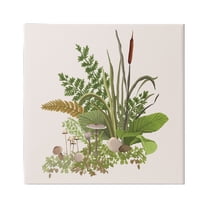 Stupell Industries Cottage Botanicals Plants Mushrooms Ferns Forest Floor Graphic Art Gallery Wrapped Canvas Print Wall Art, Design by House of Rose