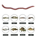 thumbnail image 3 of Juego de señuelos blandos de gusano de PVC aparejos artificiales de Ehuebsd pesca de agua dulce Swimbait Crankbait herramientas accesorios 50 Uds., 3 of 7