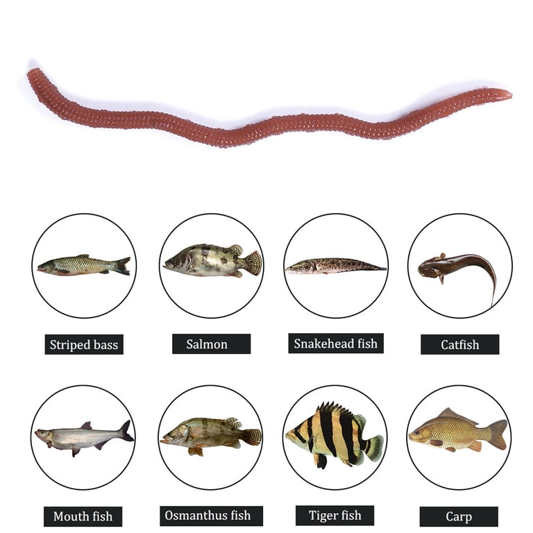 bass lure names Code Name 50pcs/Set Red Worm Soft Lure Earthworm Fishing Artificial Rubber Baits Shrimp Bass Carp Tackle Specification Types of fishing lures Do