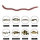 thumbnail image 4 of 50 Uds. Gusano rojo realista gusanos de lombriz de tierra suaves camarones señuelos de pesca artificiales JShteea El nuevo, 4 of 7