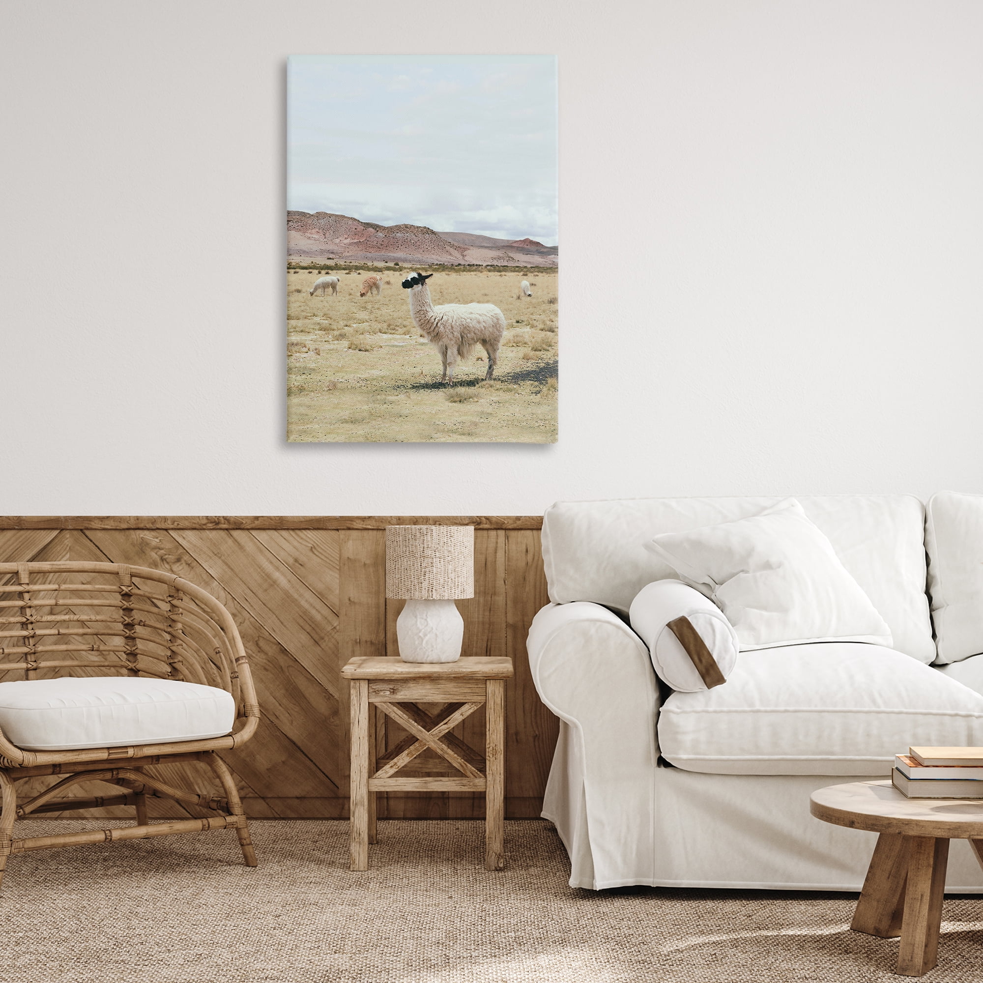 Stupell Industries Wild Alpacas in Desert Animals Photography Wrapped Canvas Art Print Wall Art, 24 x 36