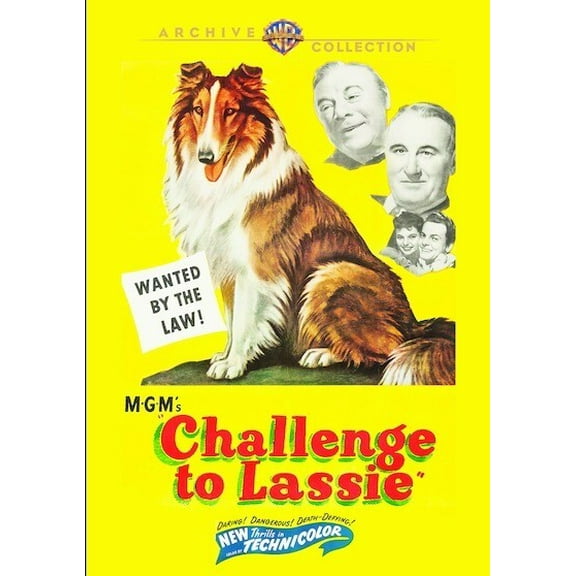 Warner Archives - Challenge to Lassie [DIGITAL VIDEO DISC]