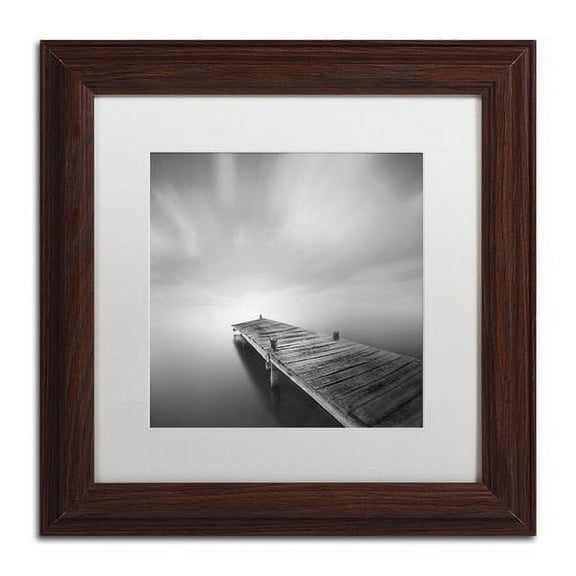Trademark Fine Art "Destiny IVb" Canvas Art by Moises Levy White Matte, Wood Frame