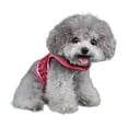 thumbnail image 7 of Pooch Outfitters  Celina Harness - Pink - Medium, 7 of 7