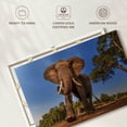 thumbnail image 6 of Elephant Stock Playful African Elephant Wall Art - Horizontal Canvas Wall Art - Living Room Wall Decor - Photography Animal Canvas - Brown And Green Decor - 24" x 16", 6 of 8