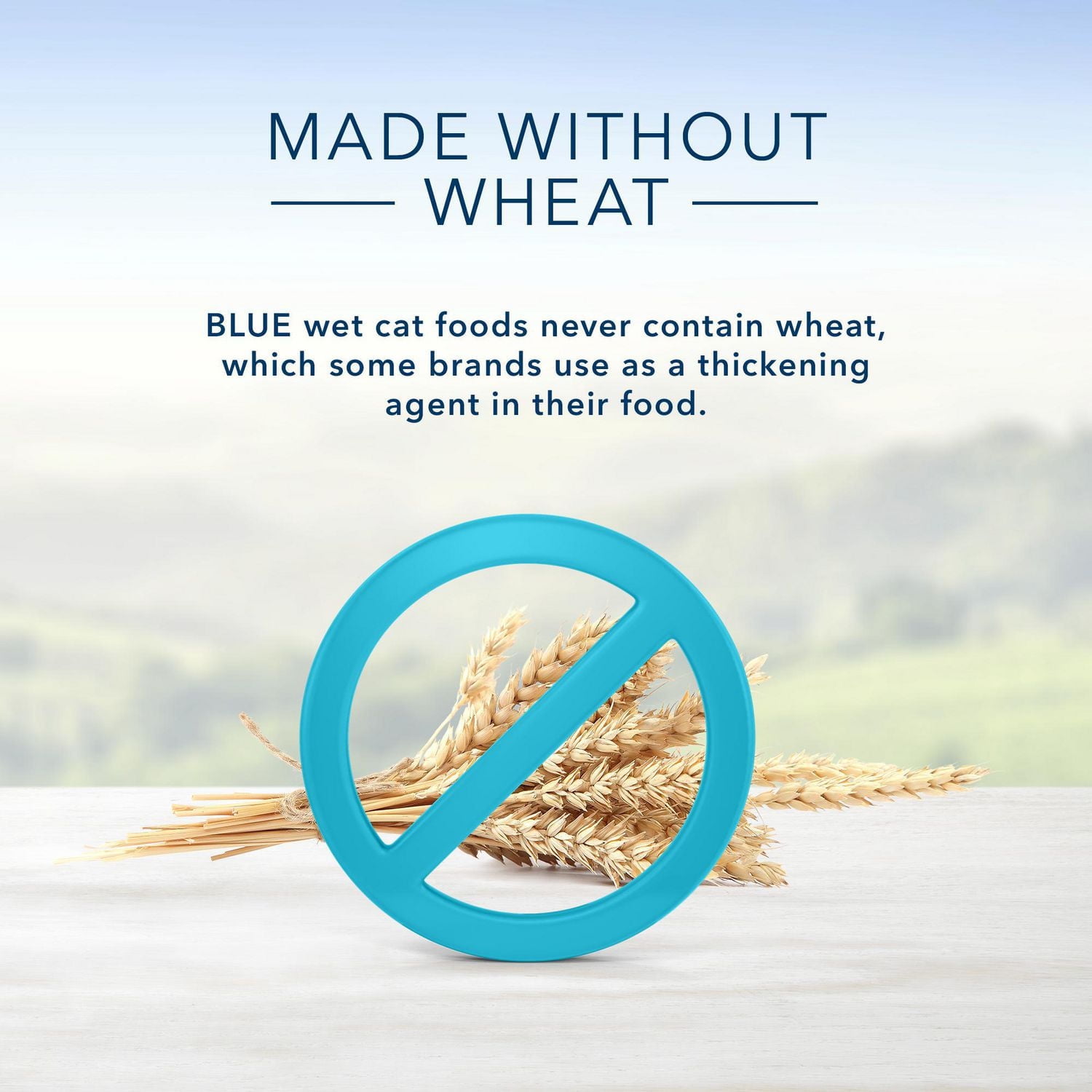 BLUE Healthy Gourmet Repas de dinde et poulet pâté pour chats