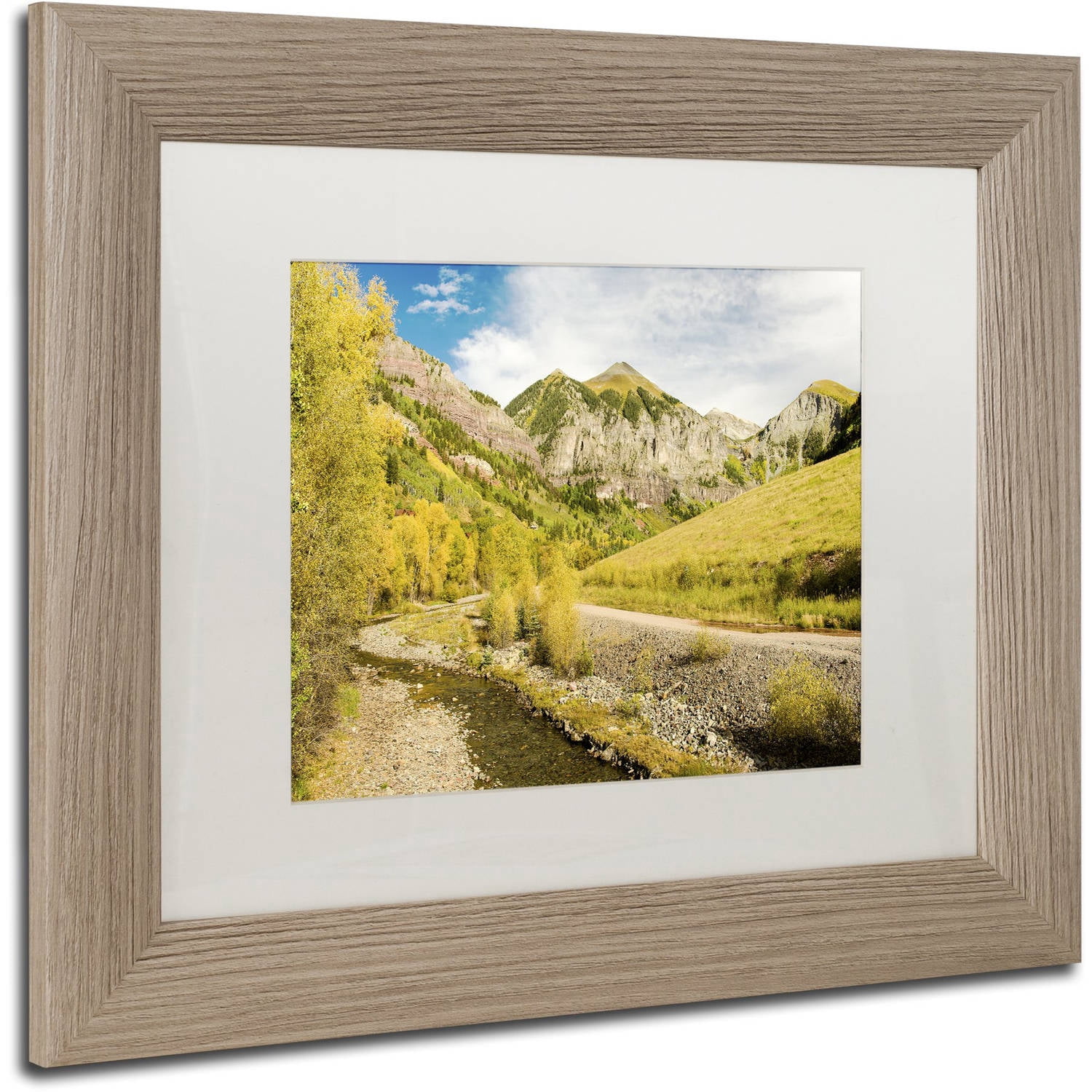 Trademark Fine Art "Aspen Yellows" Canvas Art by Michael Blanchette Photography White Matte, Birch Frame