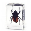ED SPELDY EAST PW115 Paperweight small Stag Beetle