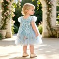 thumbnail image 3 of Girls Princess Dress Flower Girl Dress Ball Gown Flutter Sleeve Tulle Embroidered 3D Flower Floral Embroidery Party Holiday Elegant Fancy Dresses for Girls 3-24M, 3 of 8
