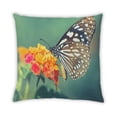 thumbnail image 2 of Ahgly Company Insects Butterfly Indoor Throw Pillow, 18 inch by 18 inch, 2 of 6