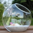 thumbnail image 3 of Micro Landscape Glass Vase Bauble Balls Succulent Plant Terrarium Container Angled Flower Pots, 3 of 6