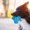 thumbnail image 3 of 3Pcs Fish Shape Dog Toy for Aggressive Chewers Puppy Toy Dog Toothbrush Toy, 3 of 8