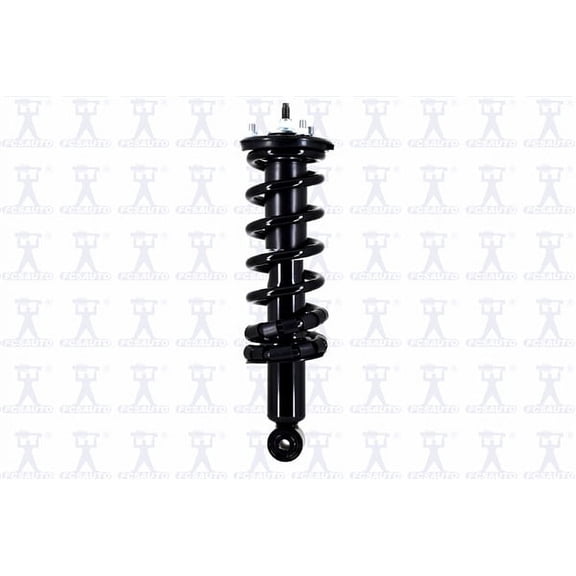 Suspension Strut and Coil Spring Assembly